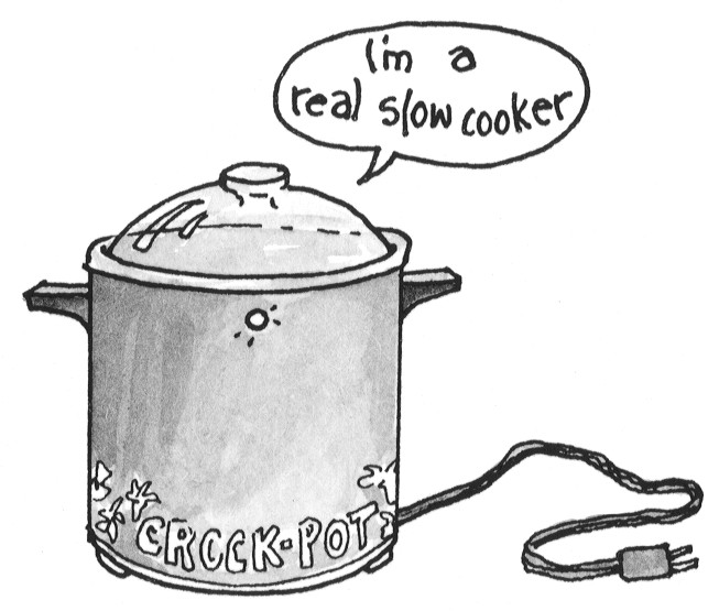 Figure 1-1: A slow cooker.